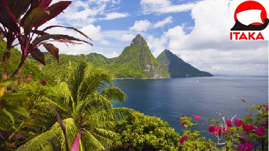 artleo.com_19462.jpg (555×311)